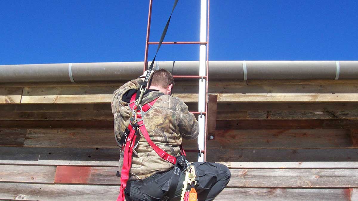 Fixed Ladder Personal Fall Arrest Systems Flexible Lifeline Systems 